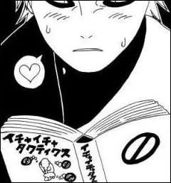 Deux ans après la quatrième Grande Guerre, un personnage qui ne comprend pas trop ce qu'est l'Amour (bien qu'il ait ce mot tatoué sur son front ! ), décide de lire les romans de Jiraya pour y trouver des réponses ! Il s'agit de :