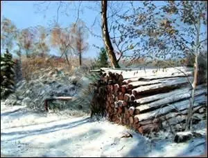 Sur quelle période s'étend l'hiver astronomique dans l'hémisphère nord ?