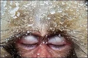 Votre moral est tellement plombé que vous êtes tristes et déprimés ! 
Quelle expression correspond à votre état ?