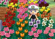 Quiz Les fleurs dans 'Animal Crossing'