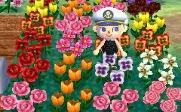 Quiz Animal crossing