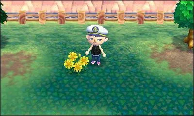 Comment s'appelle cette fleur ?