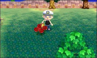 Comment s'appelle cette fleur ?