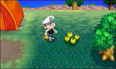 Comment s'appelle cette fleur ?