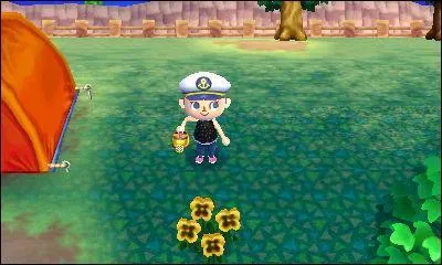 Comment s'appelle cette fleur ?