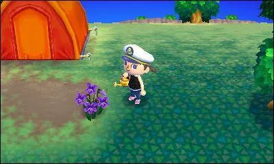 Comment s'appelle cette fleur ?