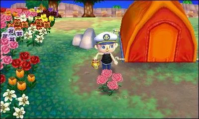 Comment s'appelle cette fleur ?