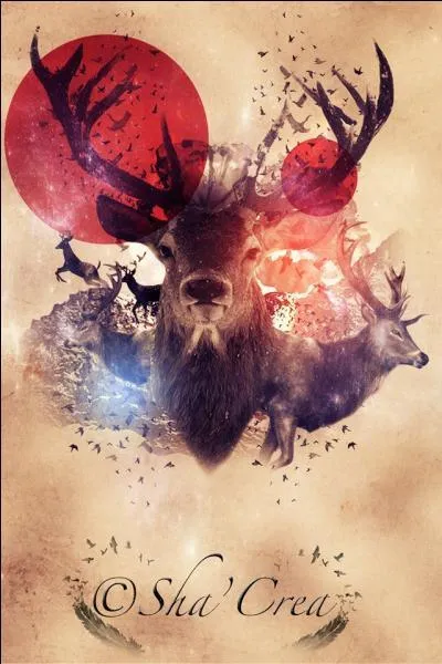 Que veut dire : boomerang ?