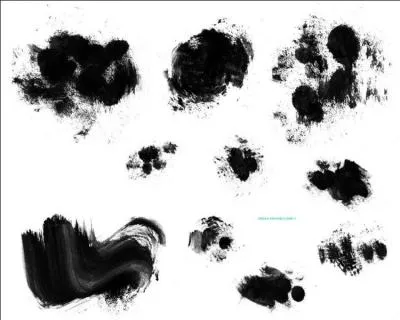 Que veut dire : pictogramme ?