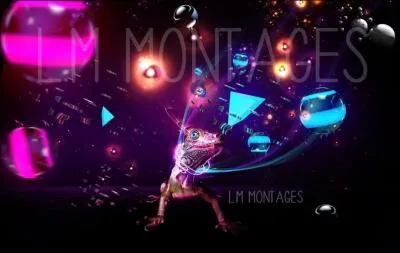 Que veut dire : un couple de bonnobos ?