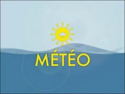 "Flocon - neige - grêle - pluie - ..." Quel mot conviendrait pour compléter cette série ?