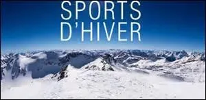 "Luge - snowboard - bobsleigh - skwal - ..." Quel mot peut compléter cette liste ?