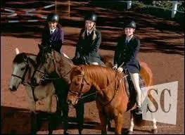 Combien y a-t-il de saisons ?