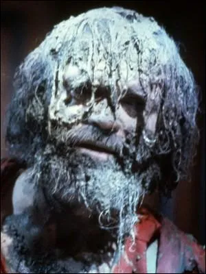 Quel thriller français se déroulant le jour de Noël rappelle fortement l'histoire de "Maman, j'ai raté l'avion" ?