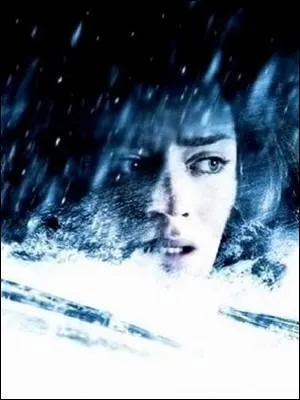 Dans le film "Wind Chill", dans quoi sont bloqués les deux héros ?