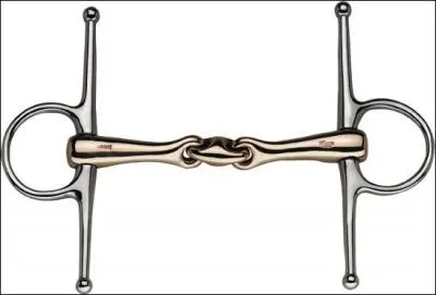 Regardez l'image : comment s'appelle ce mors ?