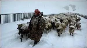 Quel est le nom de ce documentaire suisse réalisé par Manuel von Stürler ?