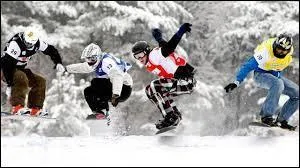 Par qui l'ouverture officielle des Jeux a-t-elle été faite ?