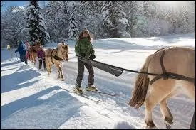 Quel sport ne sera pratiqué qu'à ces Jeux-ci ?