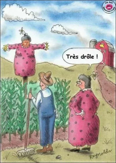 Pendant que l'oncle Vernon fulminait, que faisait la tante Pétunia ?