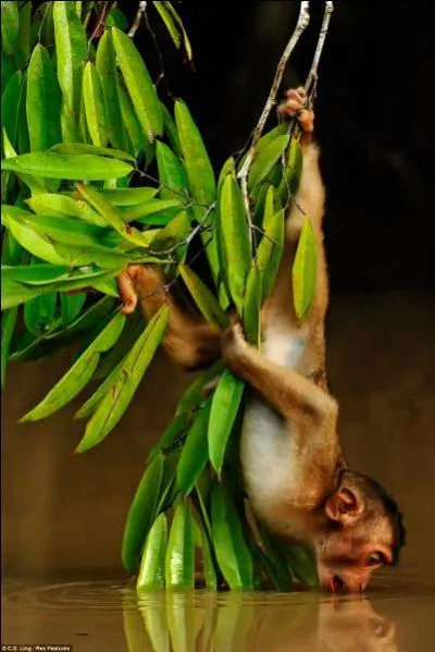 Le braille l'est également !