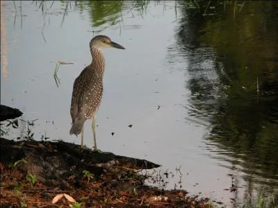 Contradiction entre deux lois ou deux principes de philosophie, entre deux propositions contraires !