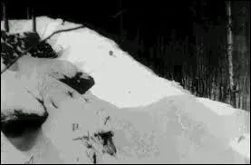 Quelle &eacute;preuve sportive n'est apparue que lors de ces Jeux-l&agrave; ?