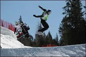 Trois pays remportent le tournoi : la Suisse, la Norv&egrave;ge et...