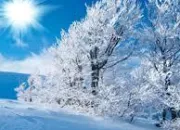 Quiz L'hiver avec les films (2)