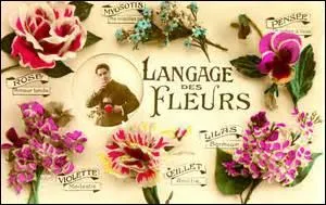 Dans le langage des fleurs, que symbolise la violette ?