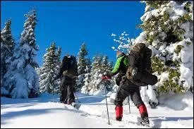 Quel homme a eu le plus de m&eacute;dailles ?