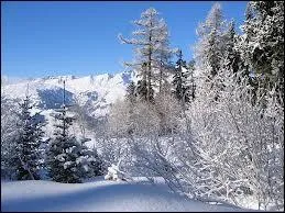 &Agrave; quelle date les Jeux commencent-ils ?