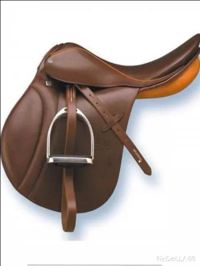 Quelles sont les parties principales de la selle ?