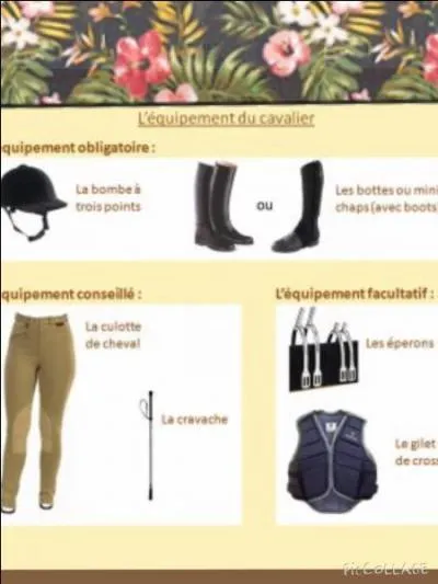 Coche la réponse qui est juste ! Les protections du cavalier sont :