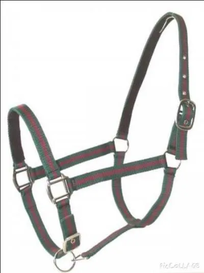 Quelles sont les parties du licol