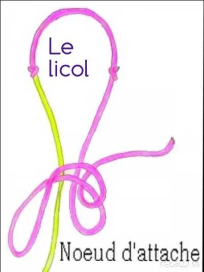 Quel noeud faut-il faire tout le temps lorsque l'on attache un cheval avec un licol et qui est sans danger lorsque le cheval tire au renard ?