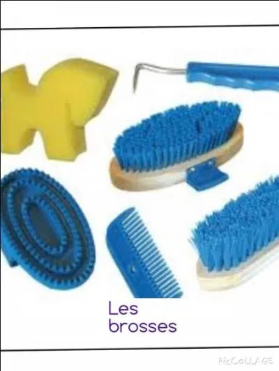 Quelles sont les brosses qui existent pour le pansage du cheval ?