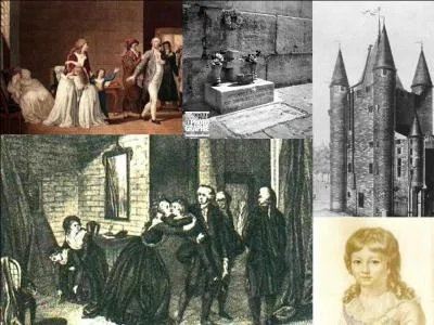 Le 8 juin 1795, une personne vient à mourir. Cette personne n'a pas marqué l'histoire de notre pays. Malgré tout, sa mort sera le début d'une longue histoire qui trouvera sa fin en 2004. Certains ne voulant pas renoncer ! 
De qui parle-t-on ?