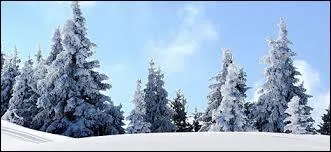 Vrai ou faux ? On a pu voir 6 sports diff&eacute;rents dans ce tournoi.