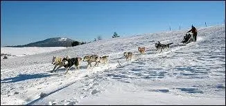 Dans quel sport Alain Calmat a-t-il excell&eacute; ?