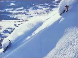 Combien de personnes dans ces sportifs &eacute;taient des hommes ?