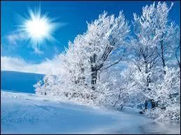 Qui a dit : "Une carrière réussie est une chose merveilleuse, mais on ne peut pas se pelotonner contre elle, la nuit, quand on a froid l'hiver. " ?