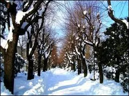 Qui a dit : "La chaleur dilate les corps. C'est pourquoi les jours sont plus longs en été qu'en hiver." ?