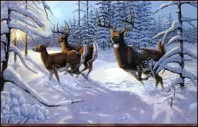 Qui a dit : "Les vieillards et les oiseaux affrontent chaque année le même problème : passer l'hiver." ?