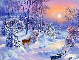 Qui a dit : "Quelle flamme pourrait égaler le rayon de soleil d'un jour d'hiver" ? ?