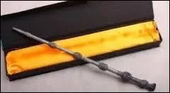 La baguette de Sureau est l'une des trois Reliques de la Mort. Son premier propriétaire fut Antioche Peverell. Au fil des siècles, la baguette a eu de nombreux propriétaires. Selon Rowling, le cur de la baguette contient :