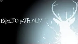 J'imagine que vous devez tous connaître la formule qui fait fuir un Détraqueur. 'Spero Patronum' (dans les livres) ou 'Expecto Patronum' (dans les films) sont tous les trois des mots latins. 'Spero' veut dire 'j'espère'. Que veulent dire les deux autres ?
