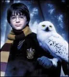 Comme tous les acteurs, les animaux ont aussi leur doublure. Hedwige, la chouette de Potter, a été jouée par trois mâles. Quels sont leurs noms ?