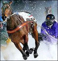 Ce sport réunit le ski et l'attelage animal. Quel est ce sport ?