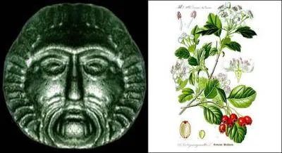 De quoi Belenos est-il le dieu ?